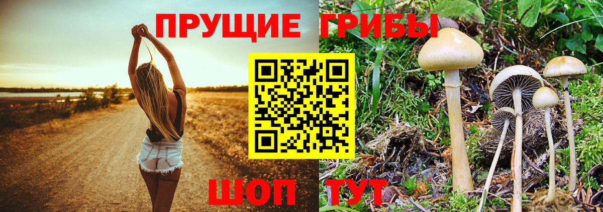 цены   Псилоцибиновые грибы Magic Shrooms  Фурманов  Вход с VPN  Псилоцибиновые грибы мухоморы 