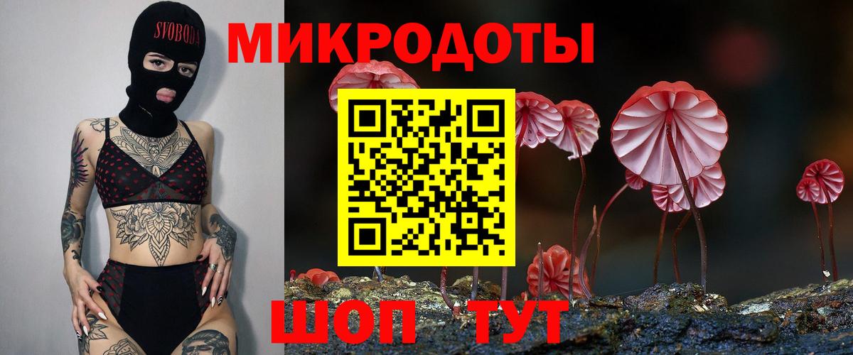 Галлюциногенные грибы Psilocybe  Фурманов 