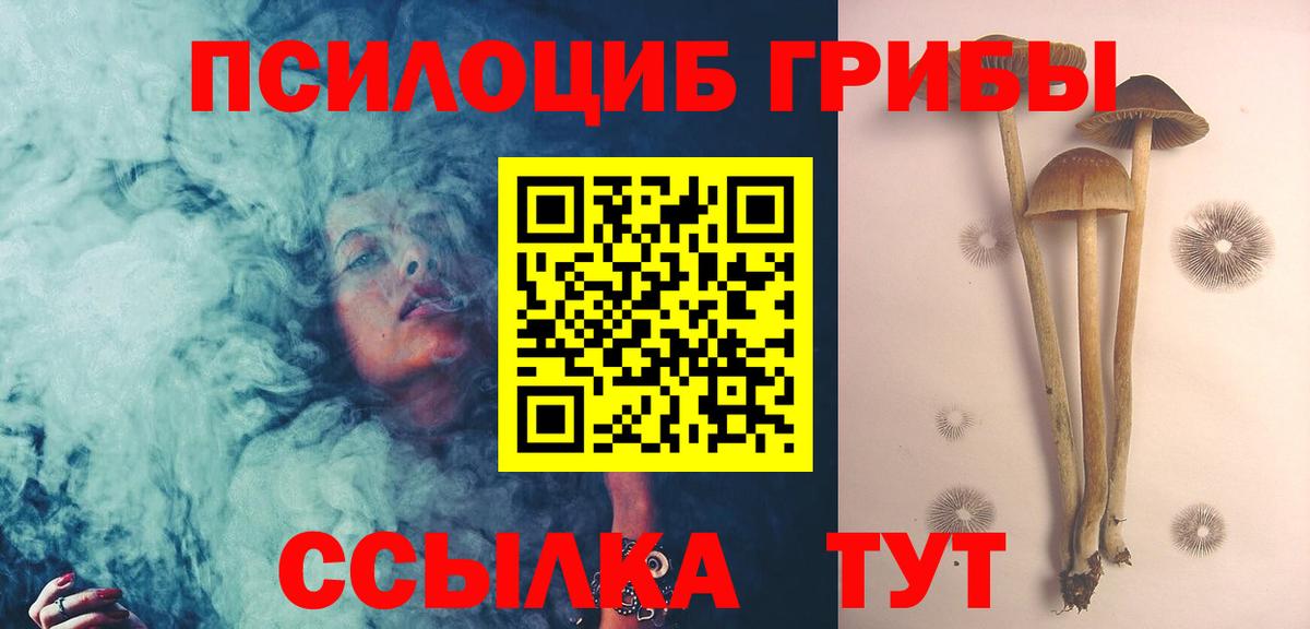 Псилоцибиновые грибы Cubensis Фурманов